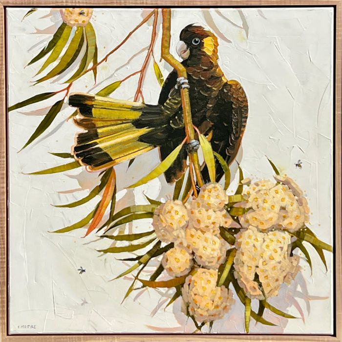 KMc-Black cocky ballet