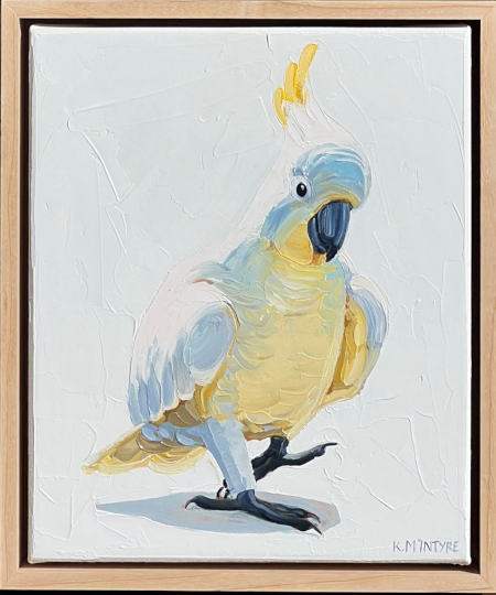 KMc-Cocky steps out