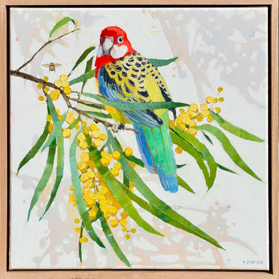 KMc-Eastern rosella with wattle