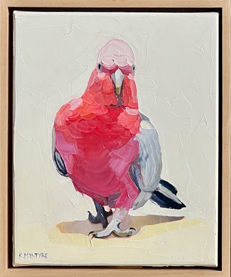 KMc-Galah steps out