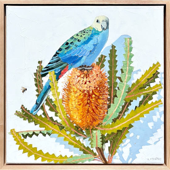 KMc-Pale headed rosella with banksia