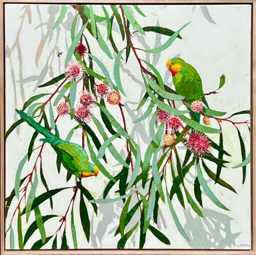 KMc-Superb parrots with pincushion hakea