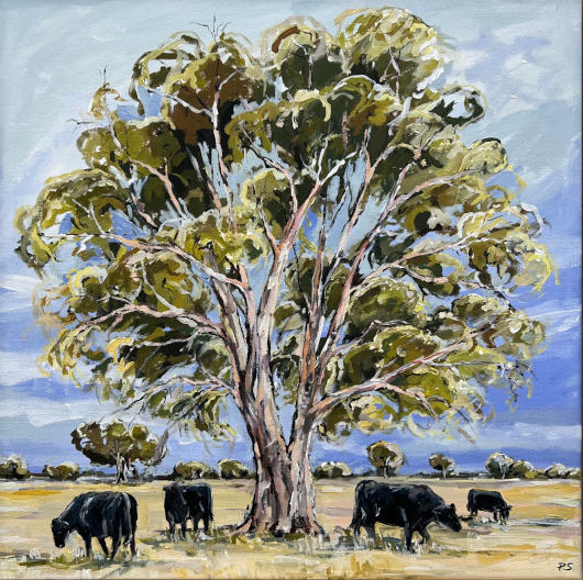 Paula Starrs- The Back Paddock
