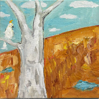 Karen Gray-Sulphur Crested
