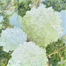 The Wealth of Joy II-W