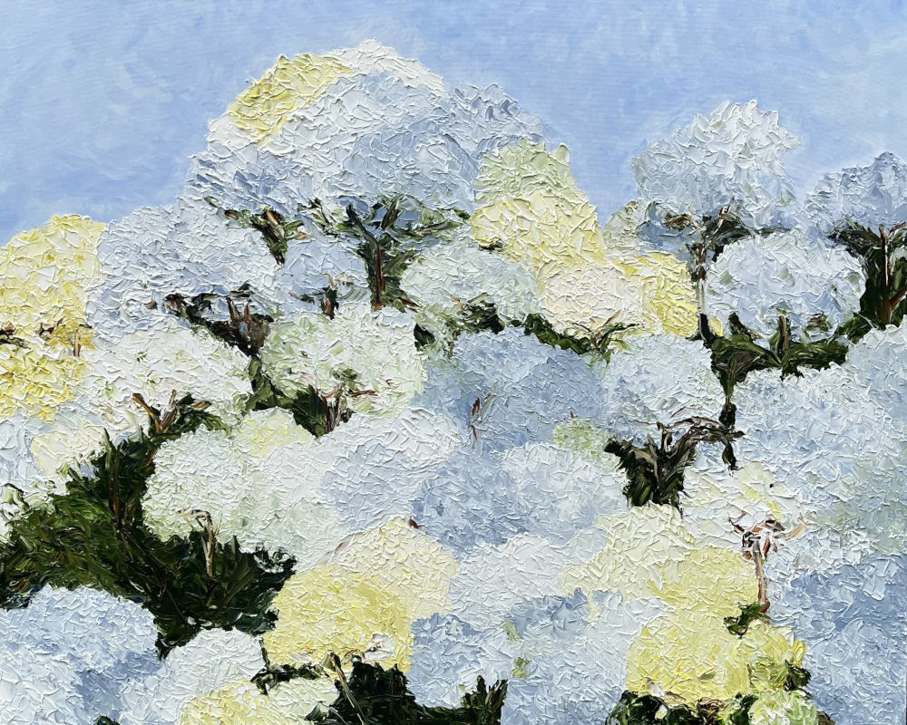 floating in a cloud-W